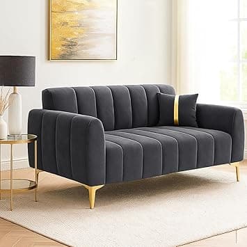 FURNY Harmony 2 Seater Velvet Fabric Sofa Set (Dark Grey) with Golden Finish Legs | Durable & Comfortable | Ideal for Living Room