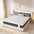 Response Memory Orthopedic Foam Mattress- High-Density Firm Support Foam, CertiPUR-US Equivalent Quality, Low-Profile Bed, Relaxing Sleep | 10 Years Warranty (Single, 72x36x8 inch)